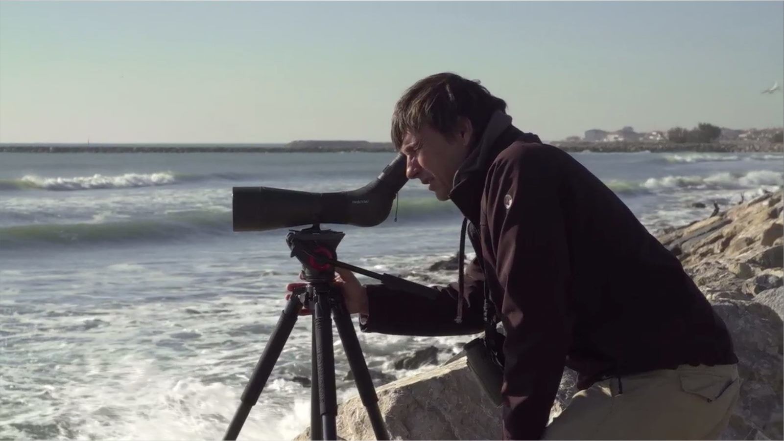 Twitchers