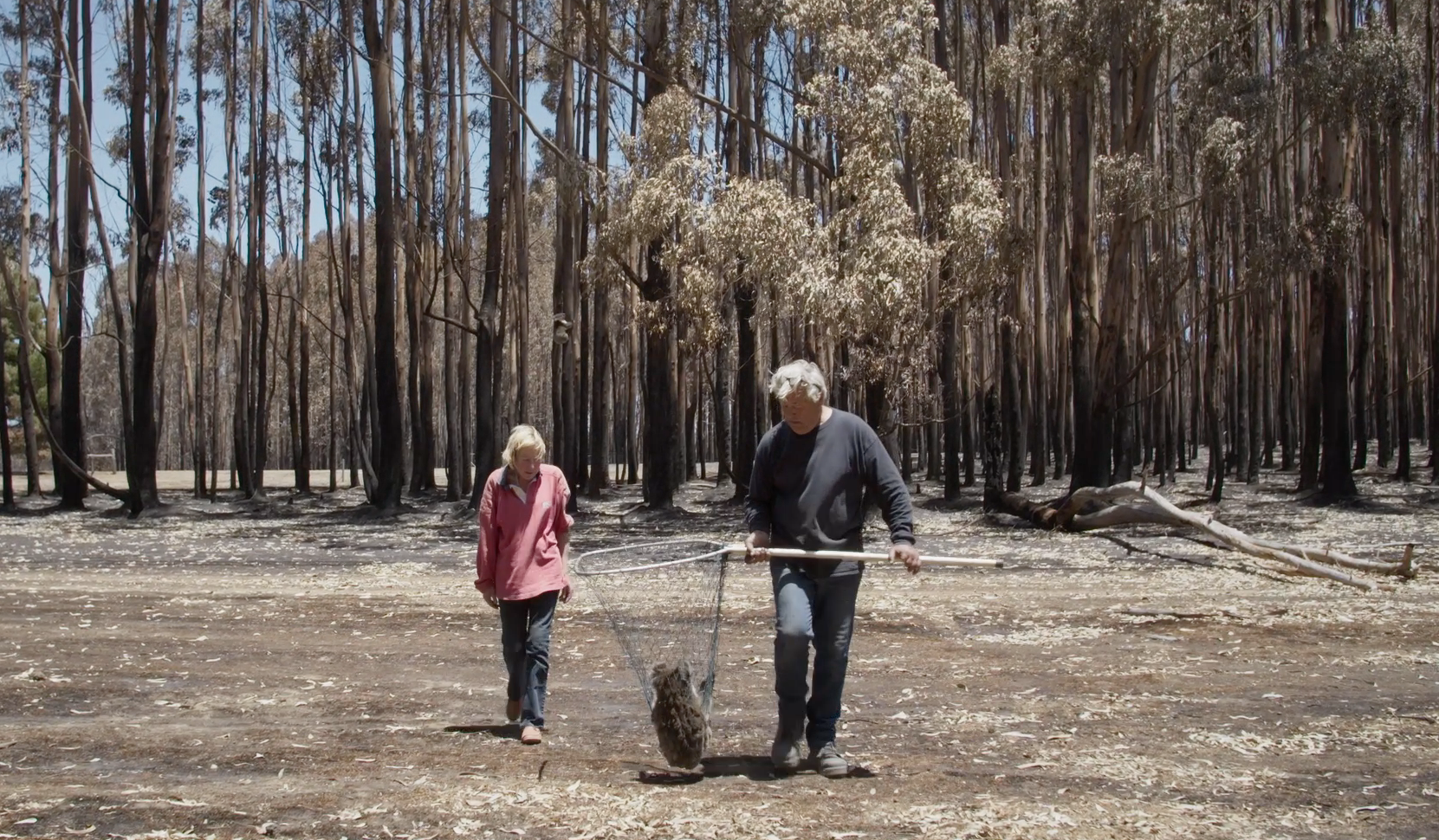 After the Fires